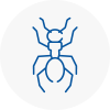 Ant Removals In Prescot