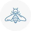 Bee Nest Removal Prescot