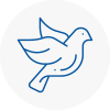 Bird Prevention Prescot
