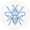 Prescot Hornet Nest Removals