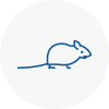 Mice Exterminators In Prescot