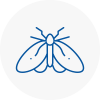 Moth Control Specialists In Prescot