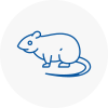 Rat Control Prescot