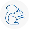 Prescot Rodent Removals