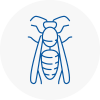 Prescot Wasp Nest Removal